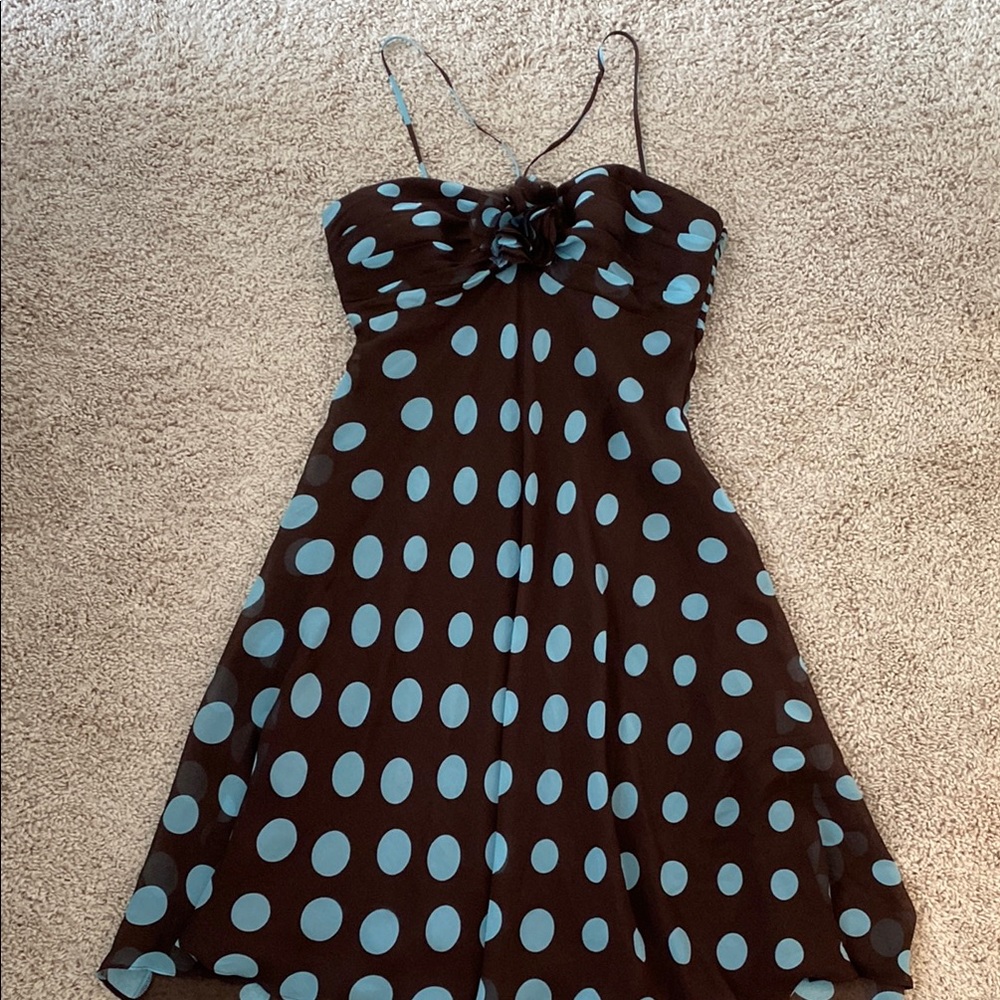 Brown and Blue Polka Dot Dress